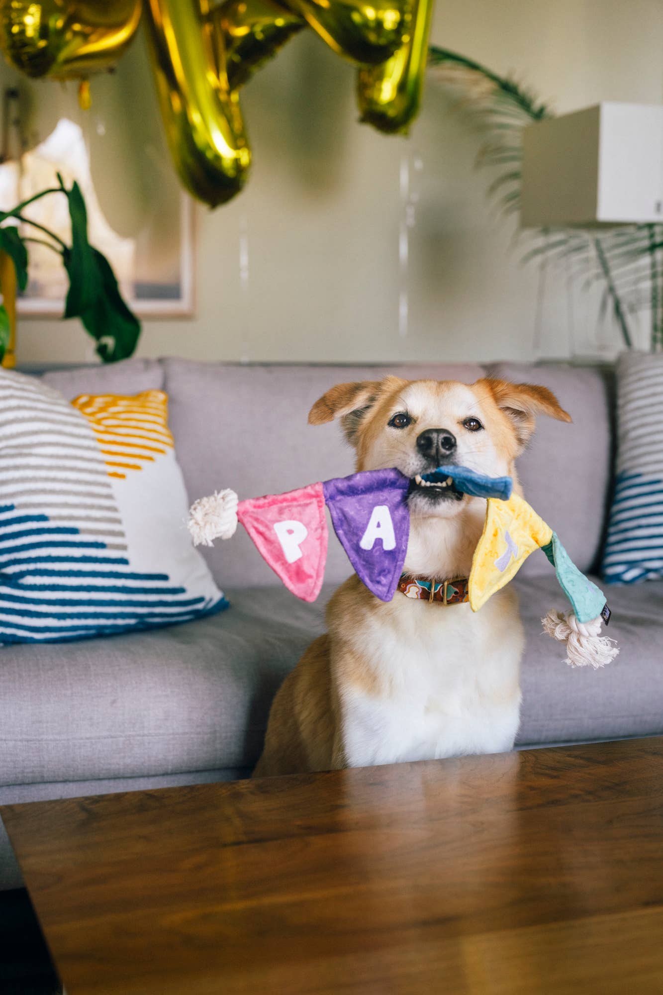 Party Animal Collection - Assorted Toys