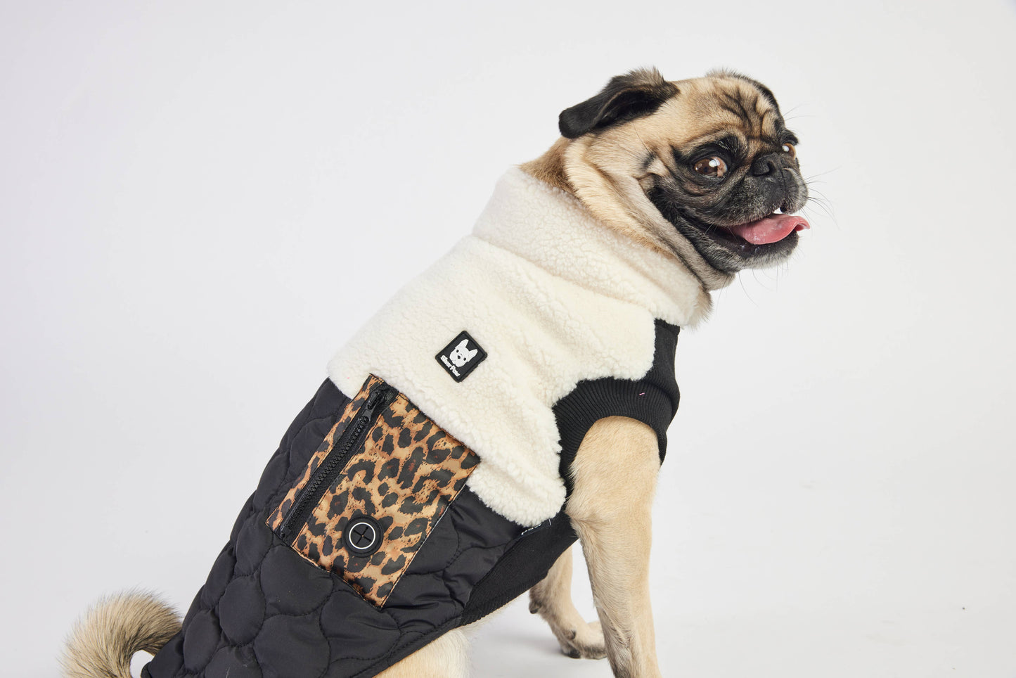 Loki Dog Jacket