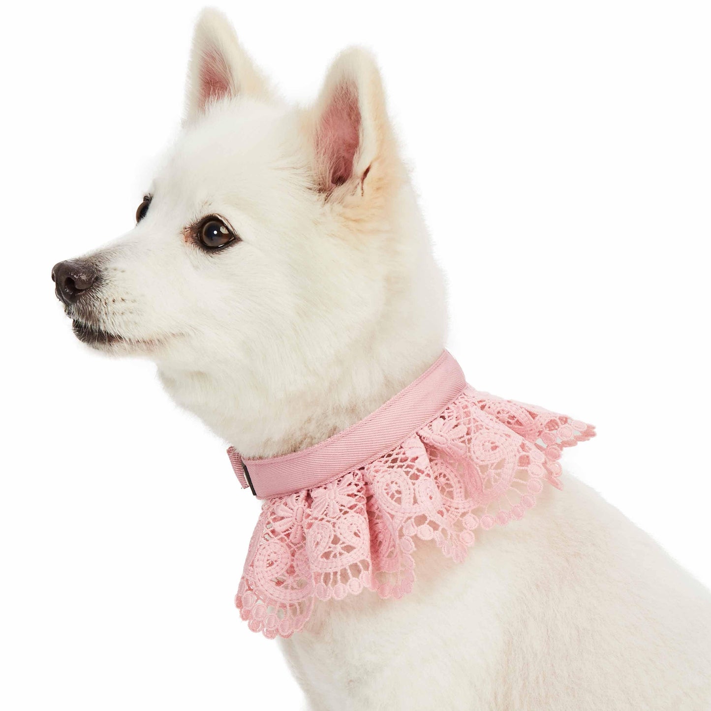 Cute Floral Lace Dog Collar - Lavender