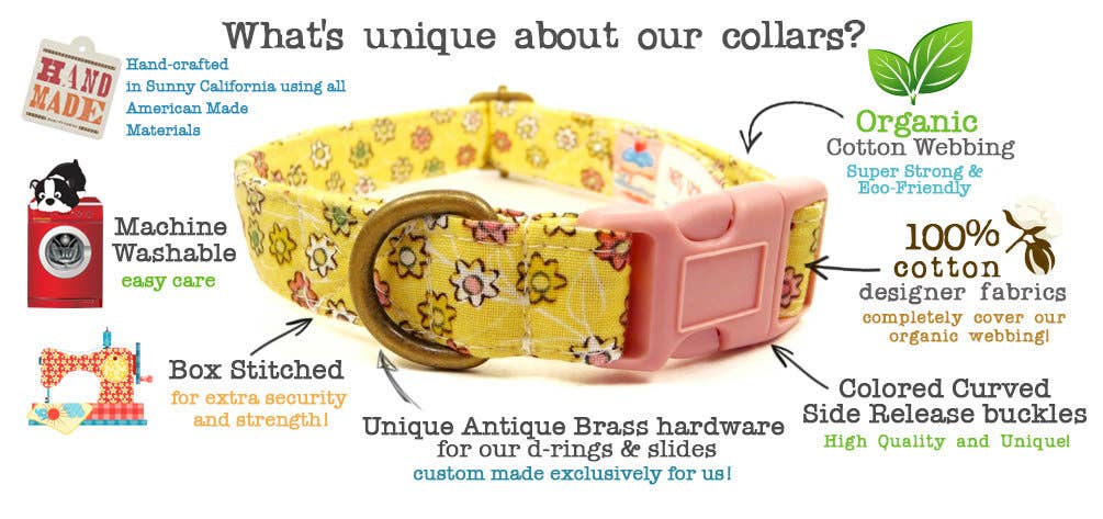 Spring Fling Floral Dog Collar