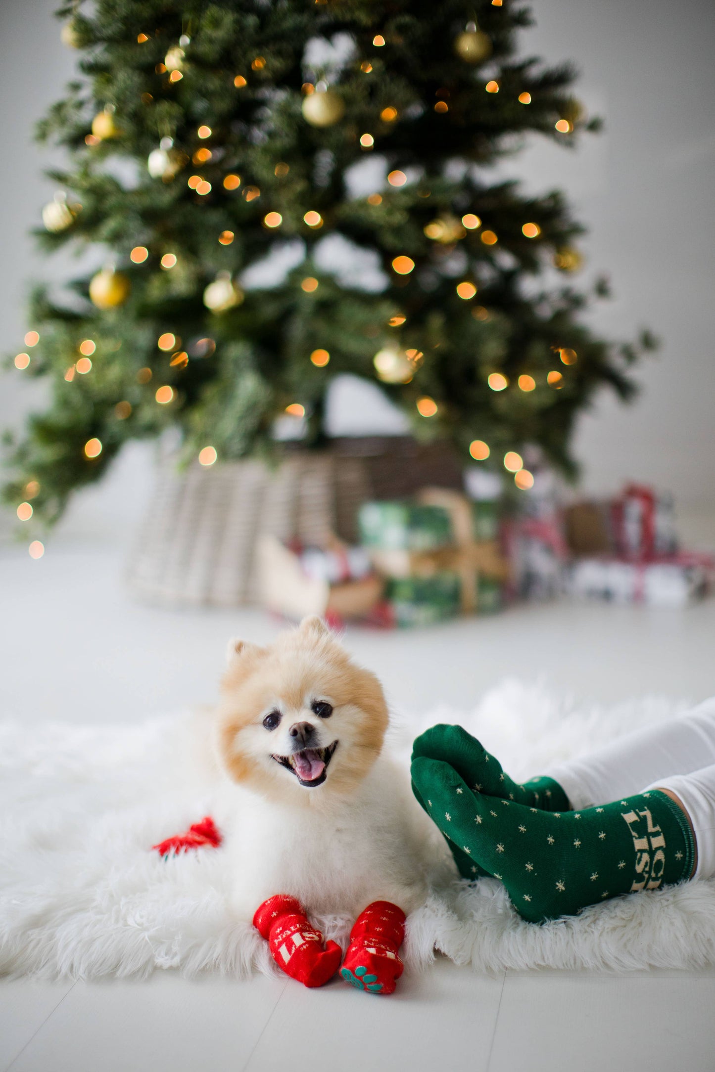 Nice & Naughty List Human & Dog Christmas Sock Set