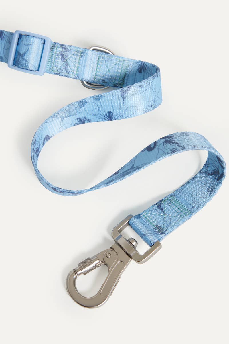 Bridgerton x maxbone Walk Set for Dogs