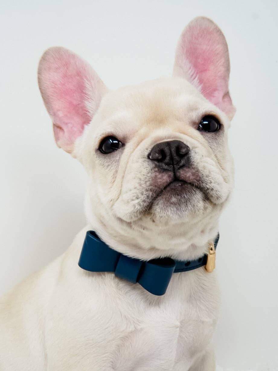 Conjunto de collar y correa para perros Signature - Azul marino