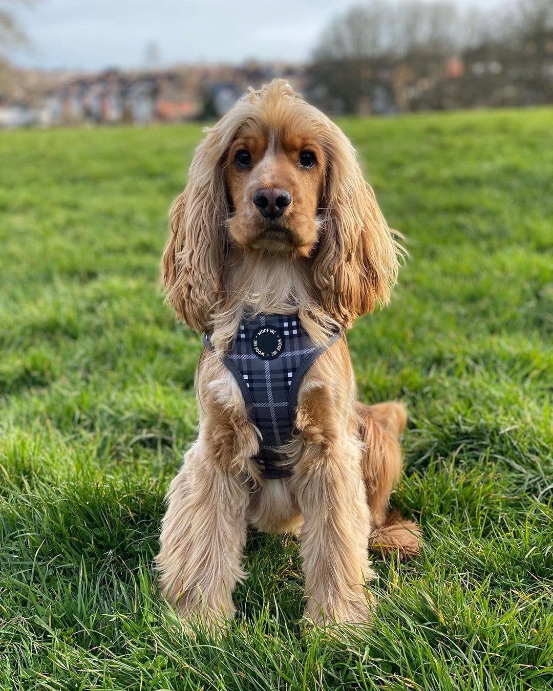 Arnés ajustable para perros con cuadros escoceses negros y grises