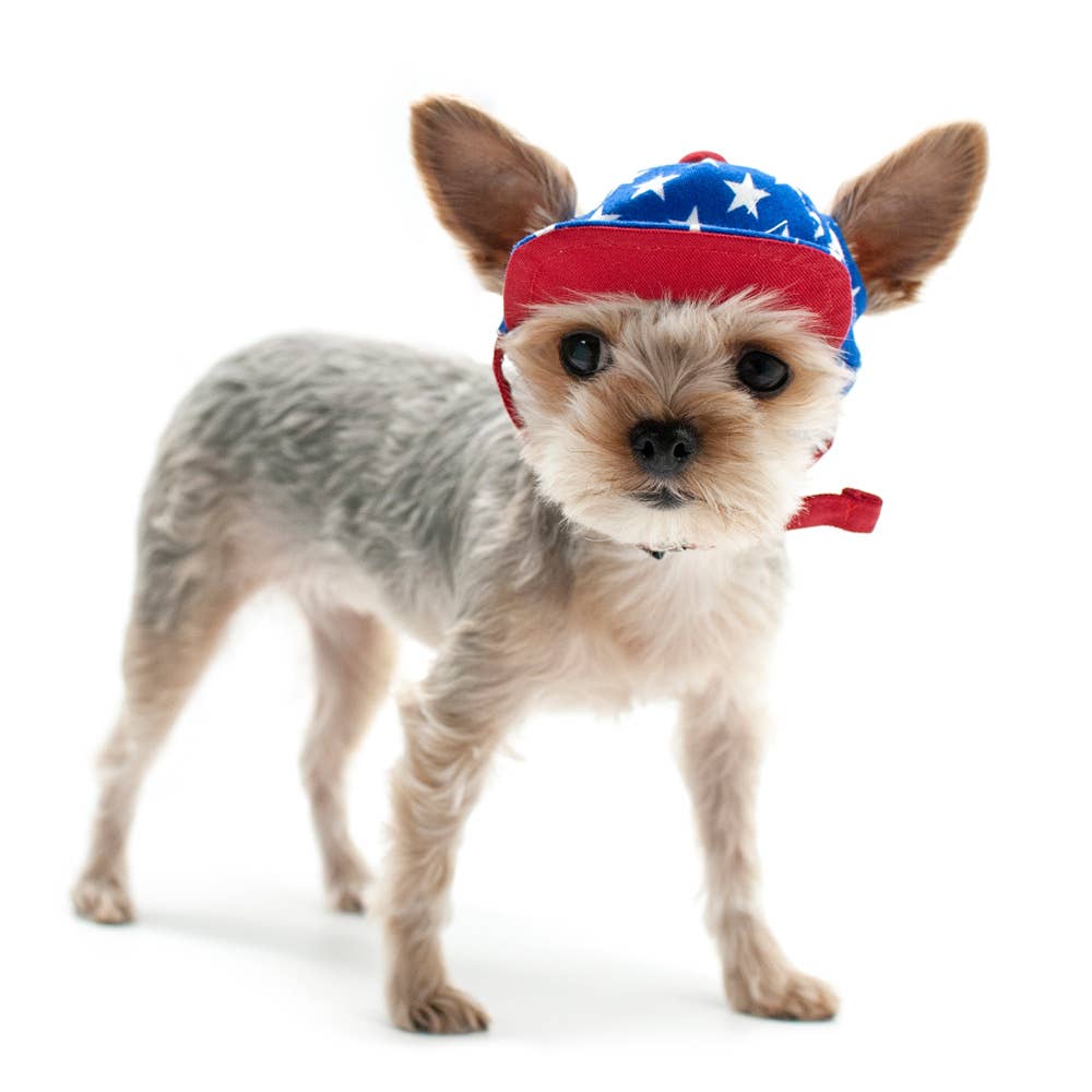 Star Dog Hat