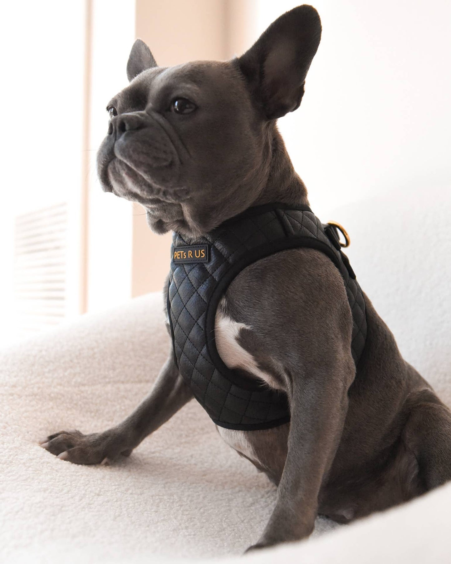 Easy Step-In Dog Harness, Quilted Vegan Leather, Black