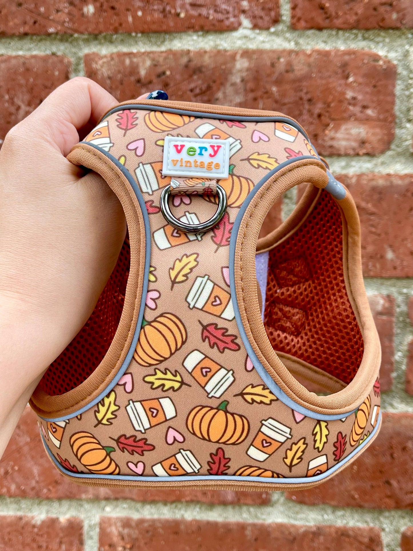 Pumpkin Spice Dog Harness