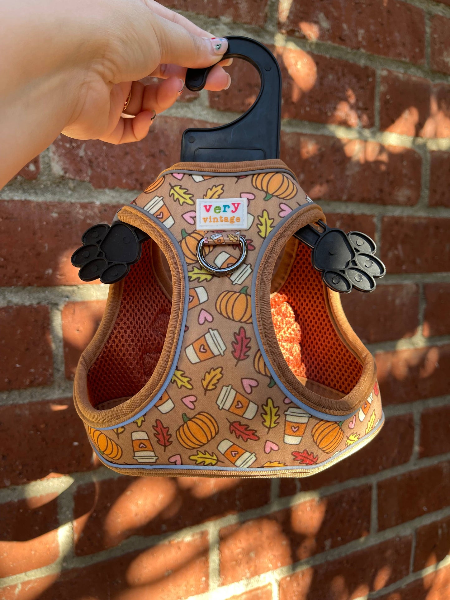 Pumpkin Spice Dog Harness