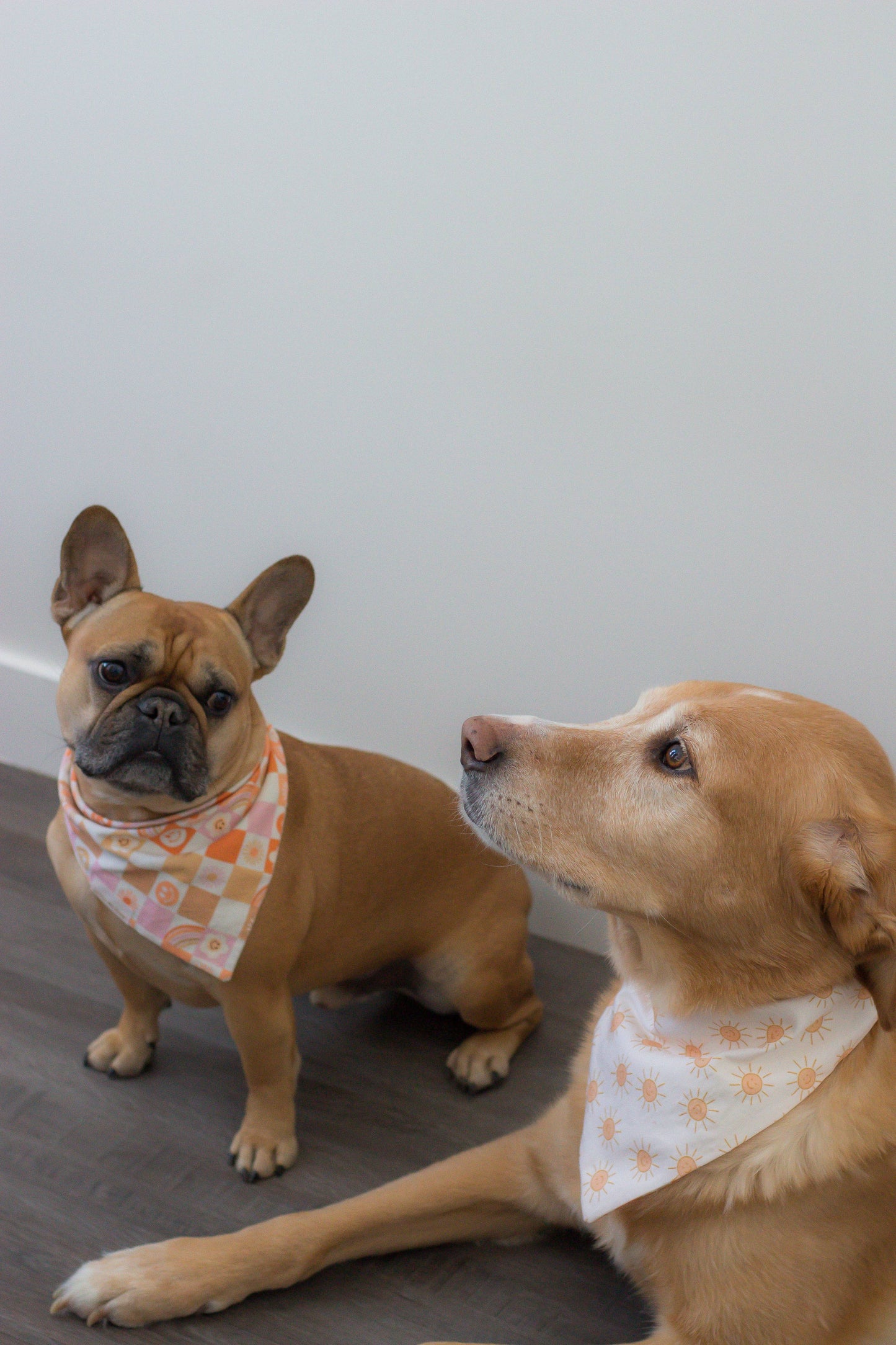 Sunshine Vibin’ Dog Bandana - Assorted Sizes