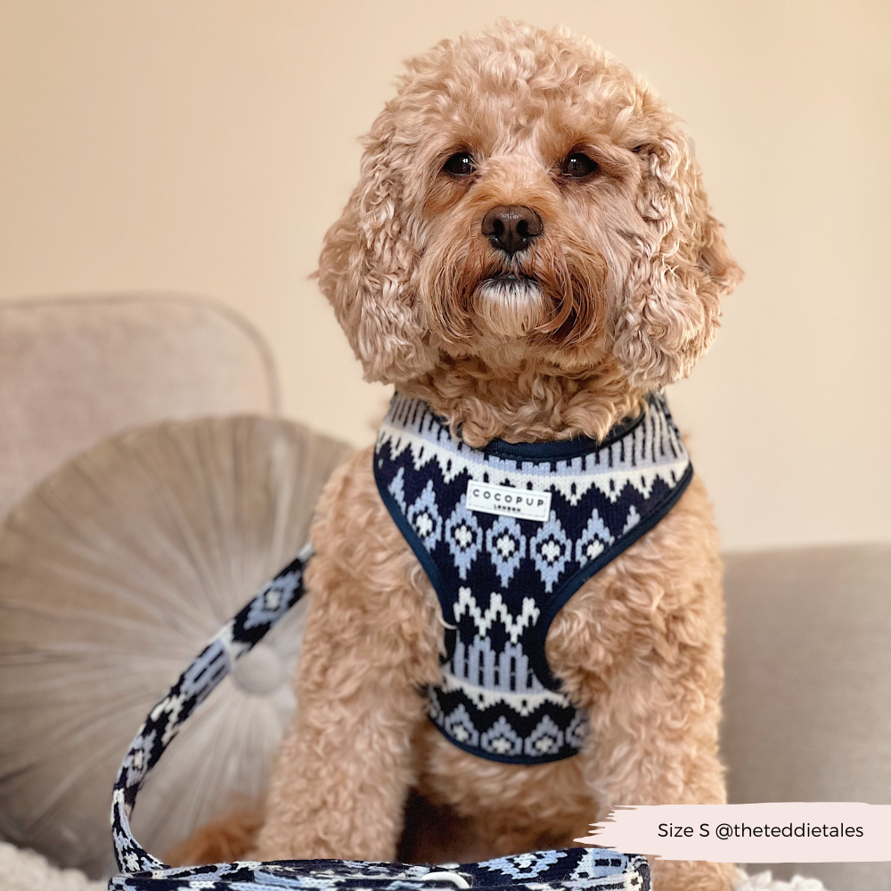Arnés ajustable para perros Chalet Pup