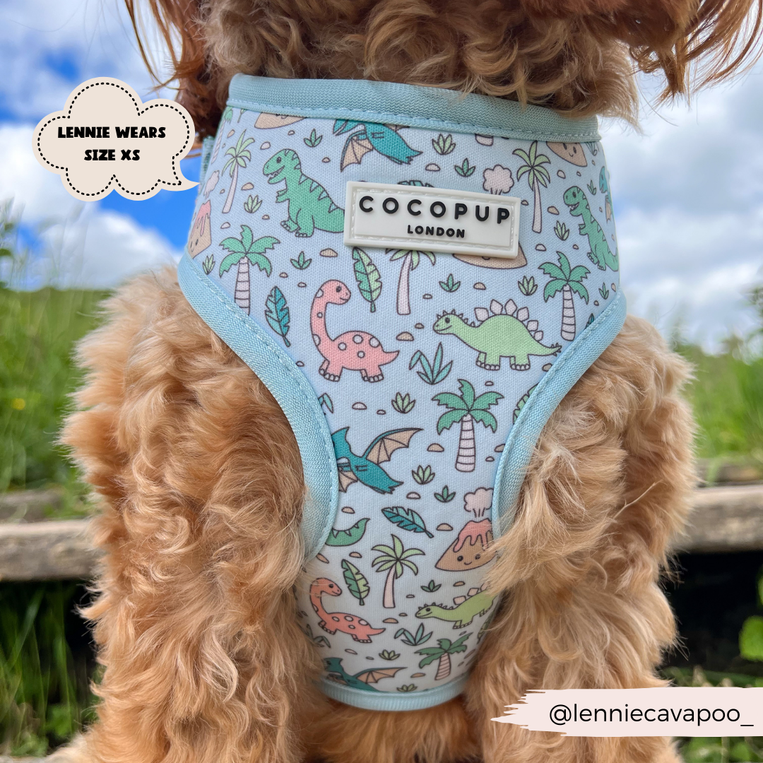 Dinopaws Adjustable Neck Dog Harness