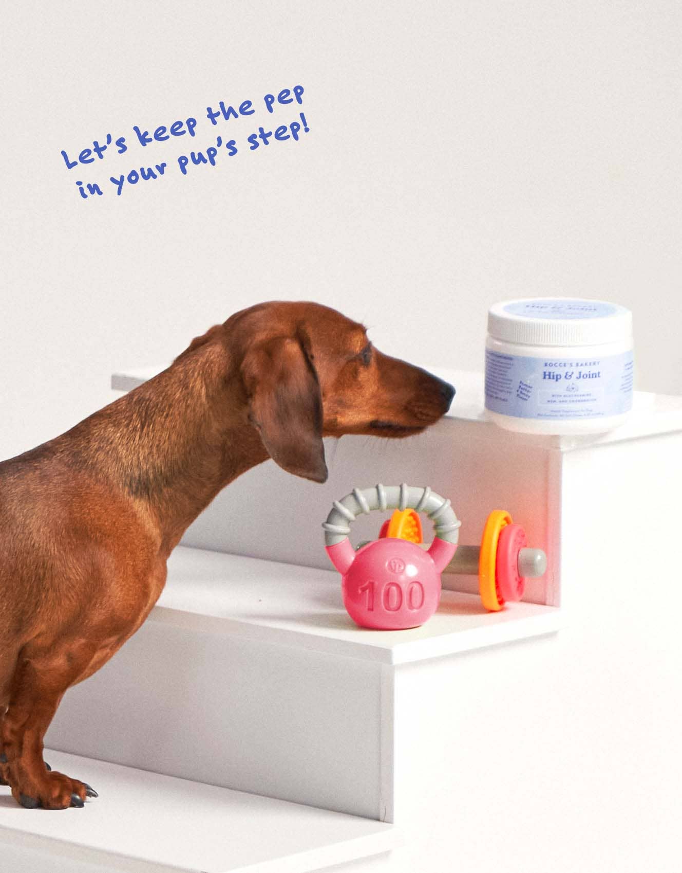 Hip & Joint Health Supplement for Dogs