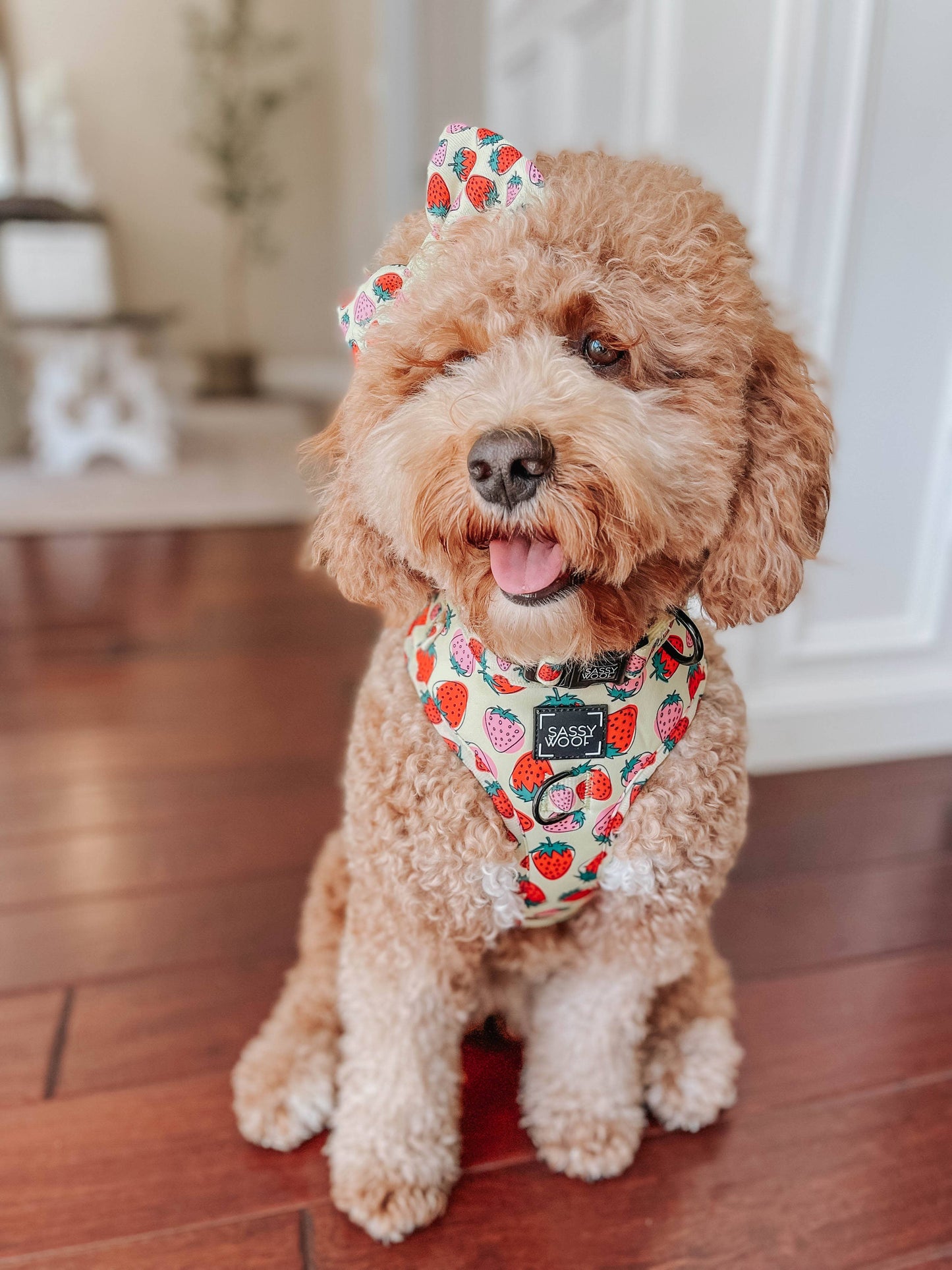 Arnés ajustable para perros - Strawberry Fields Furever