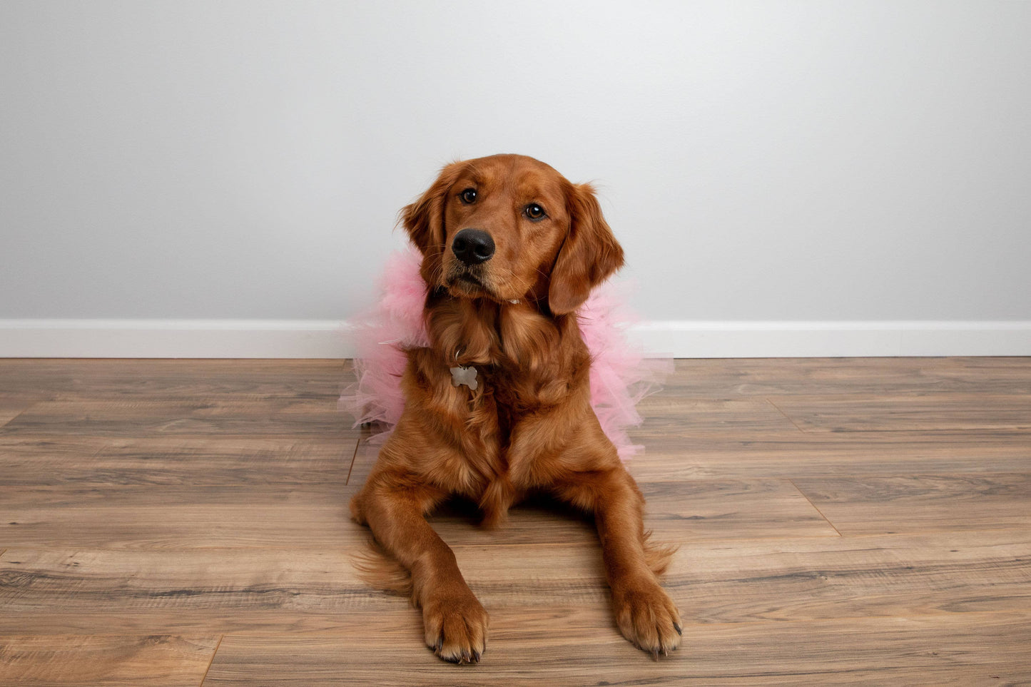 Pink Dog Tutu/Skirt