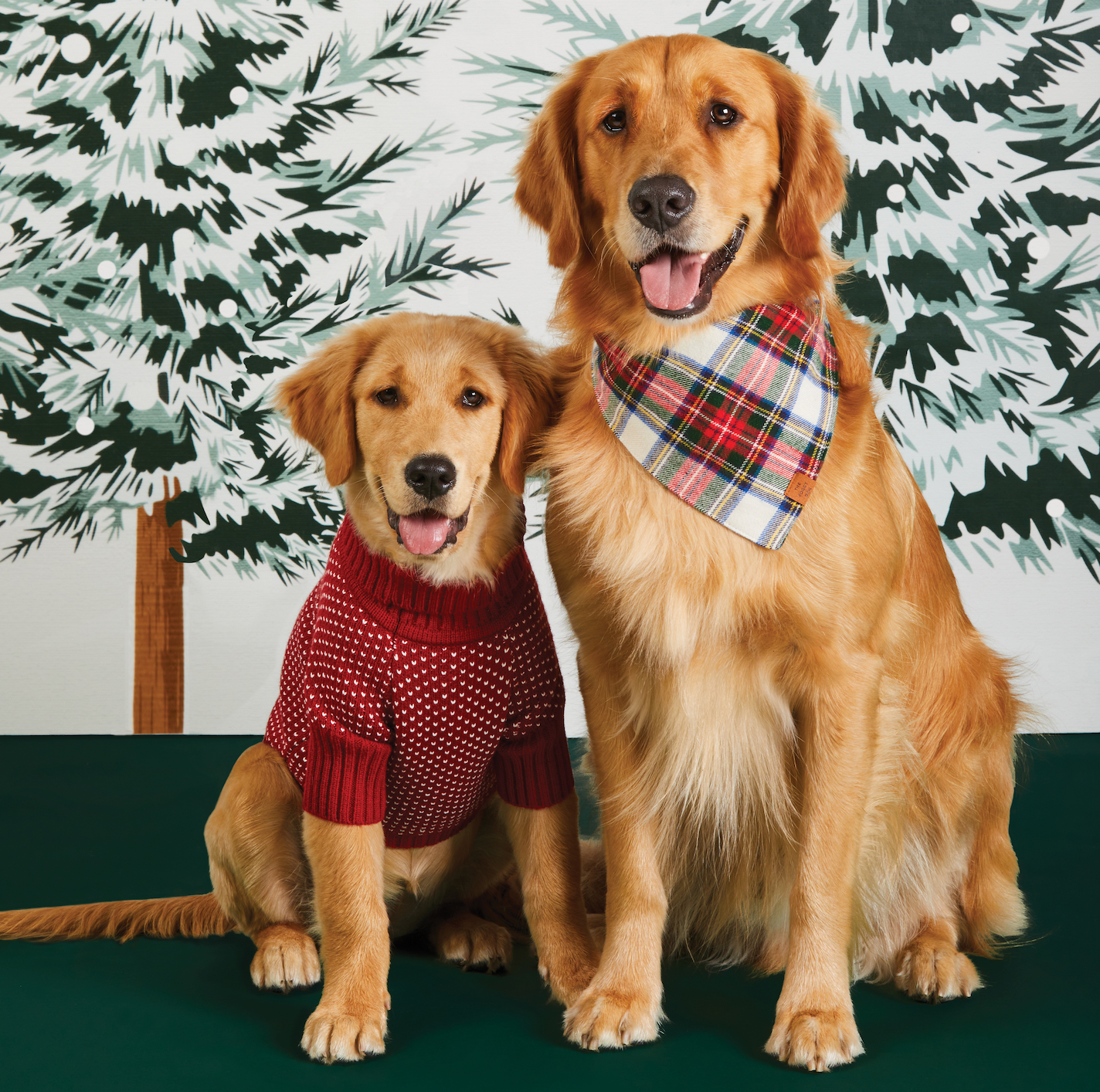 Heart Stitch Dog Sweater