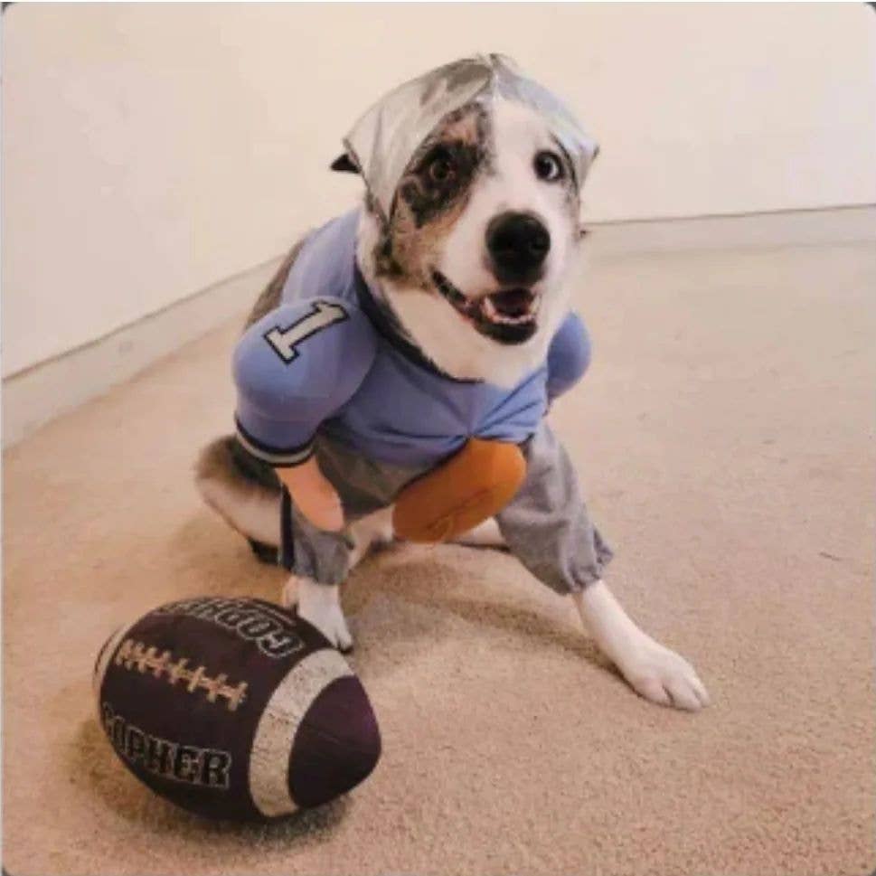 Disfraz de perro de Halloween de QuarterBark