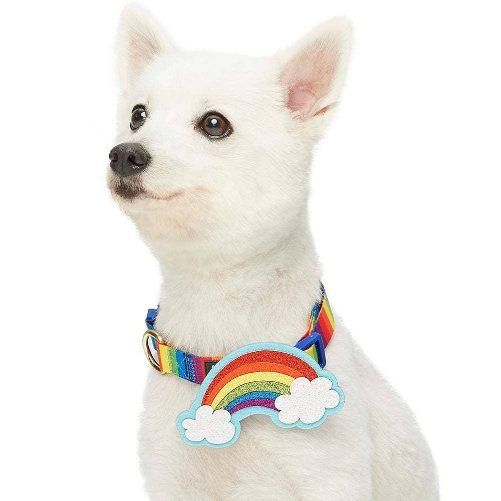 Perfect Rainbow Dog Collar