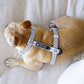 Frenchie Strap Harness - When Pigs Fly