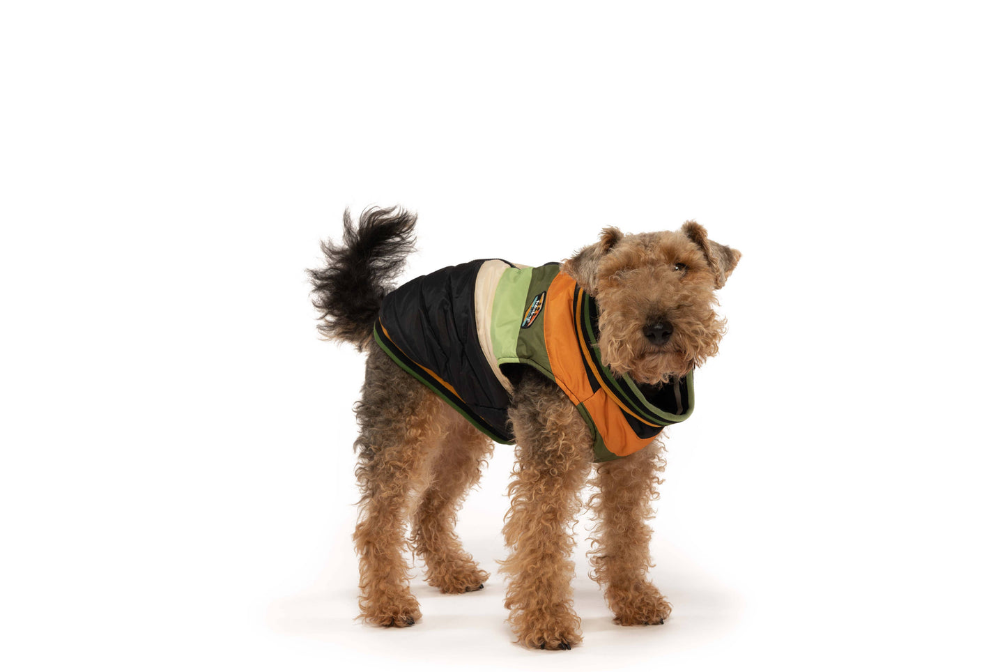 Black Chevron Dog Vest
