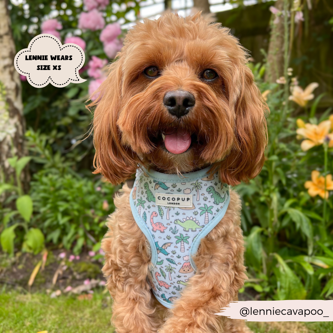 Dinopaws Adjustable Neck Dog Harness