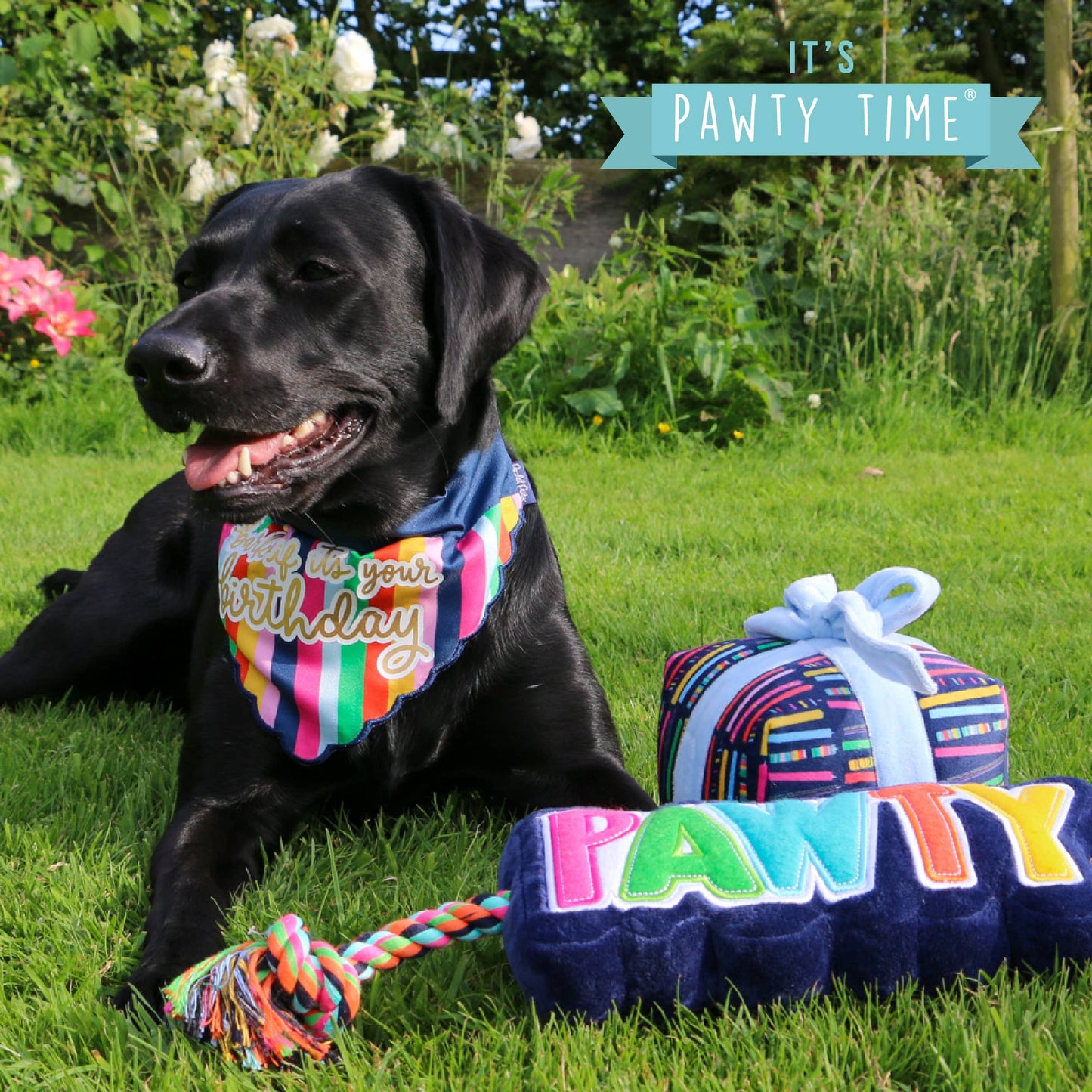 Pawty Dog Bandana