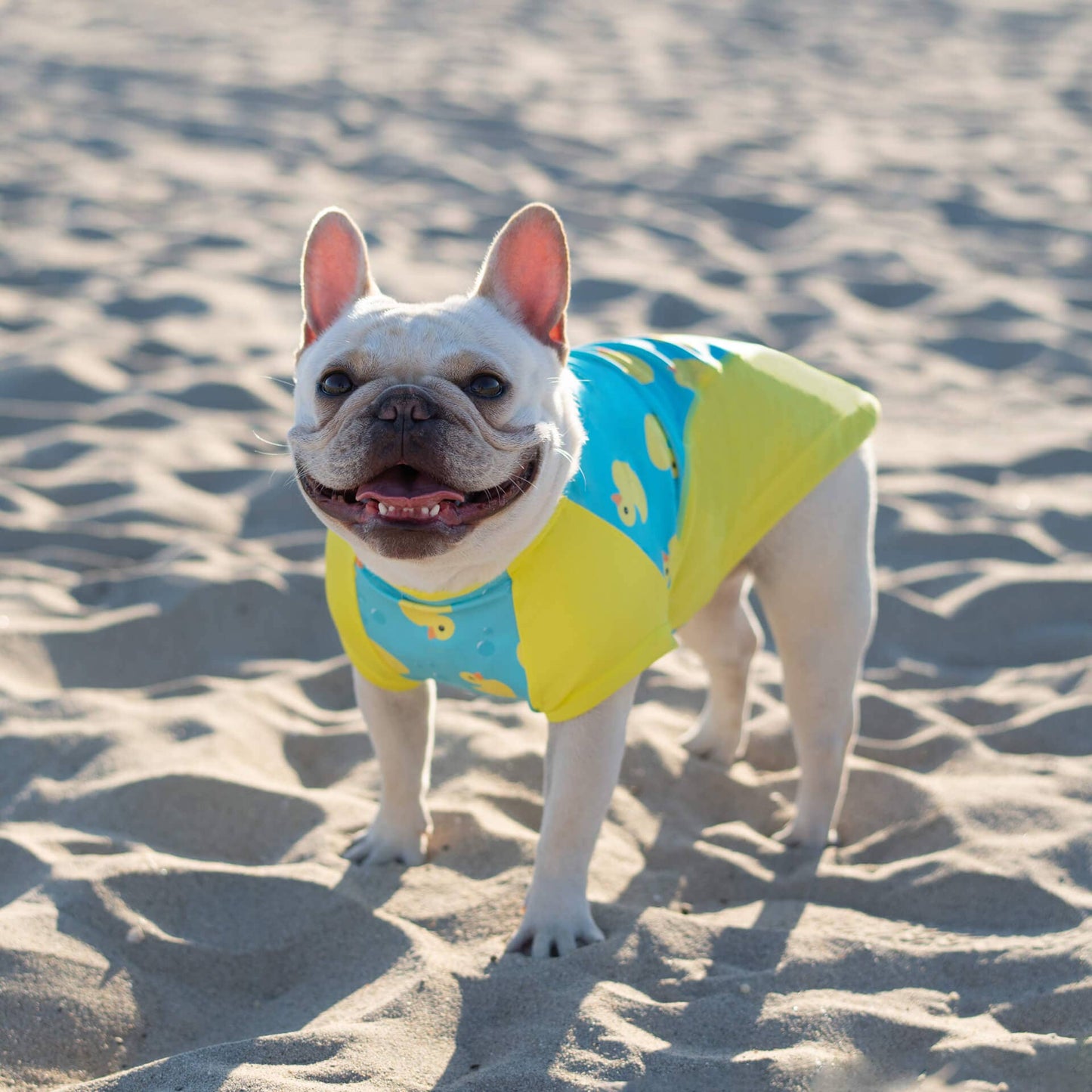 Sun Shield Dog T-Shirt - Rubber Ducks