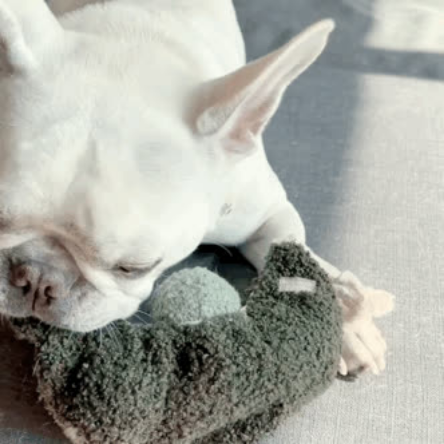 Juguete para perros Pea Pop Enrichment Snuffle