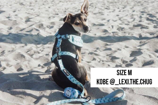 Arnés ajustable para perros Blue Pupshake