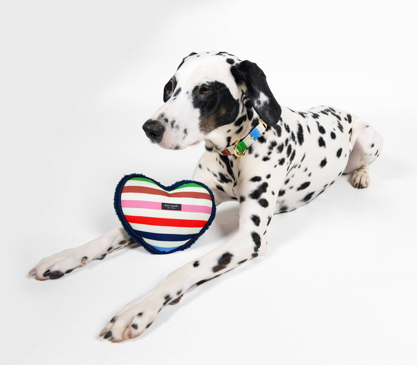 Heart Dog Chew Toy