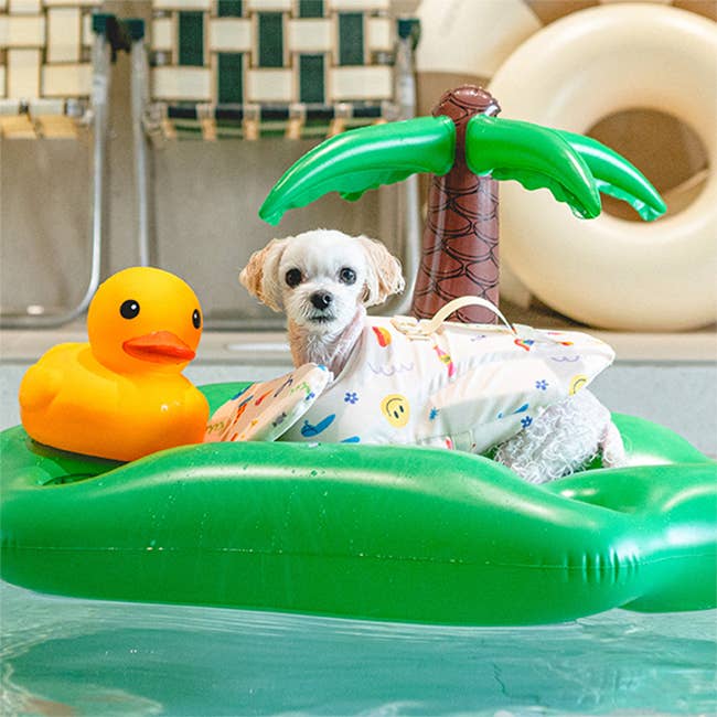 Rainbow Life Jacket
