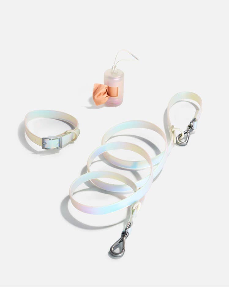Dog Collar - Holographic Lunar