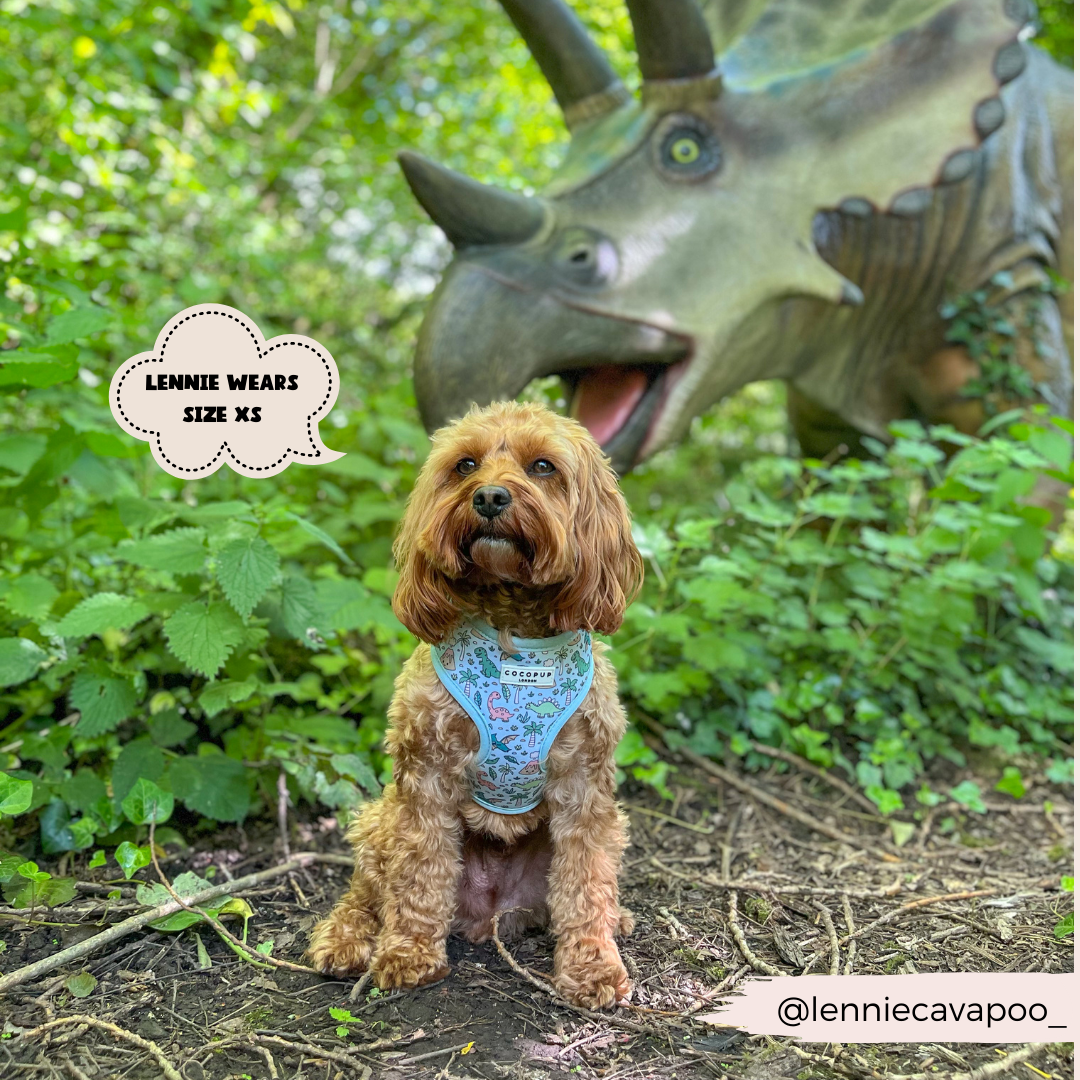 Dinopaws Adjustable Neck Dog Harness