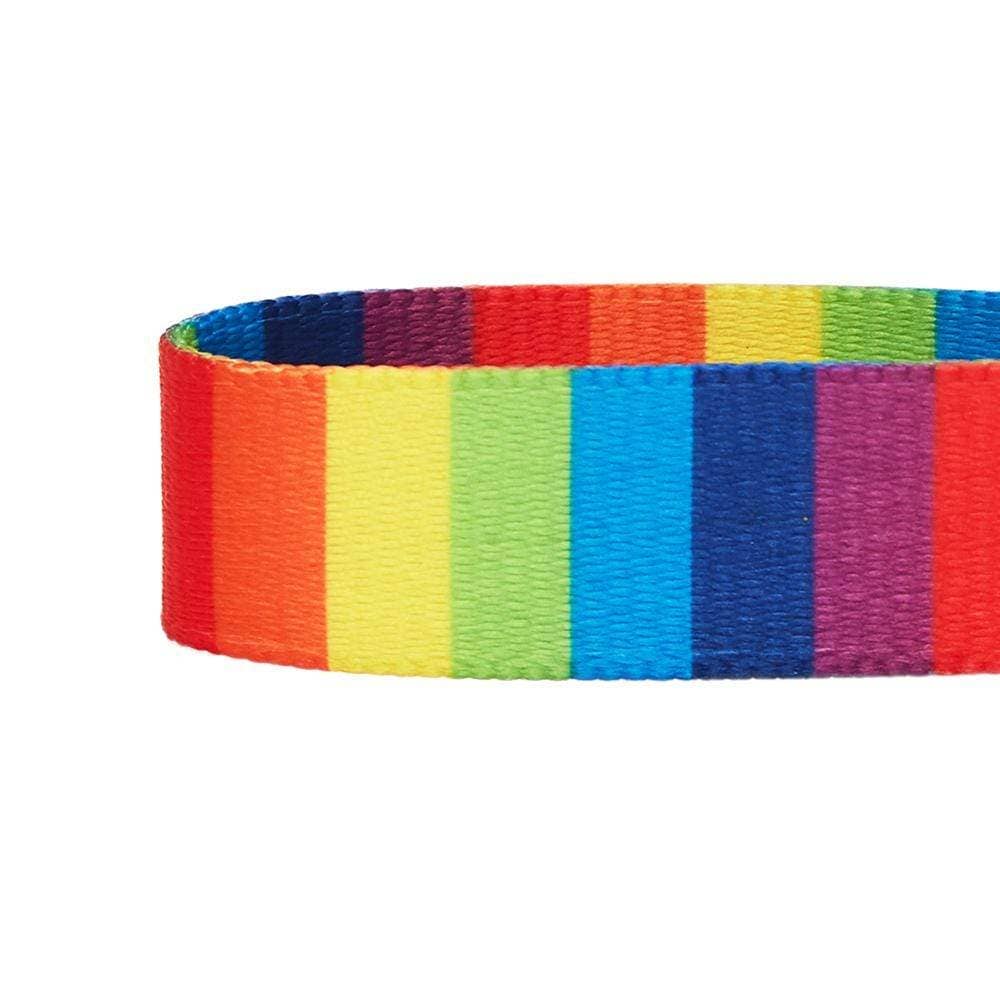 Perfect Rainbow Dog Collar