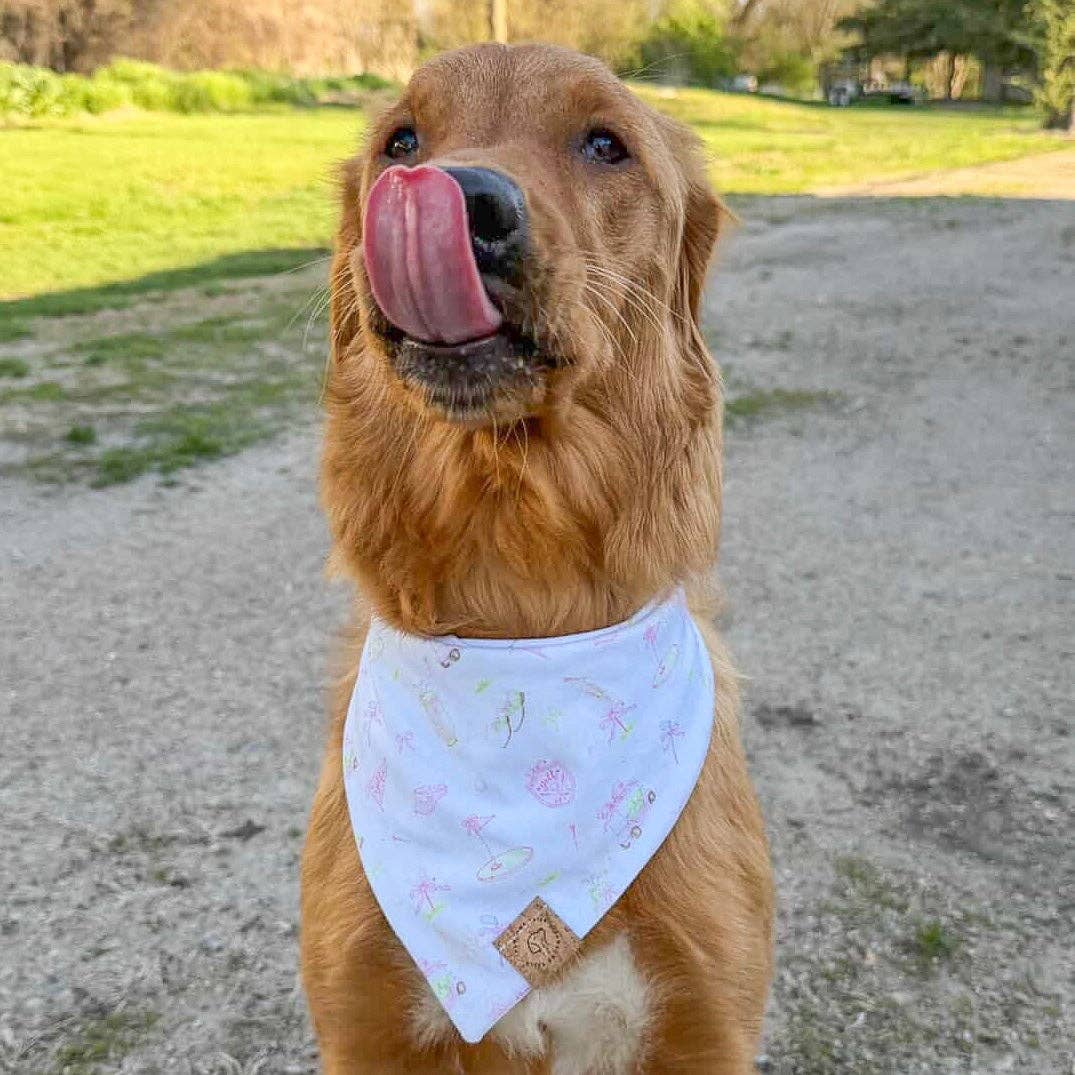 Pink Golf Club Bandana