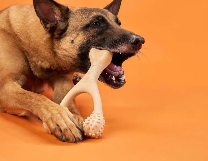 BetterBone SOFT Beef Dog Chew Toy Mini - Assorted Sizes