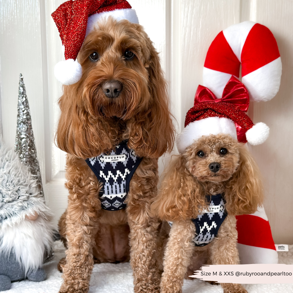 Arnés ajustable para perros Chalet Pup
