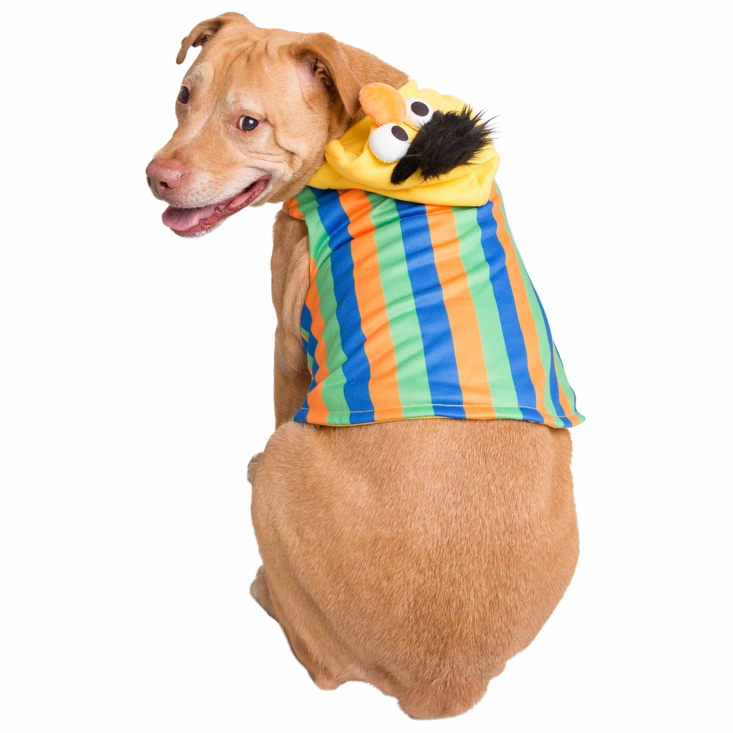 Sudadera con capucha Bert de Barrio Sésamo para perros