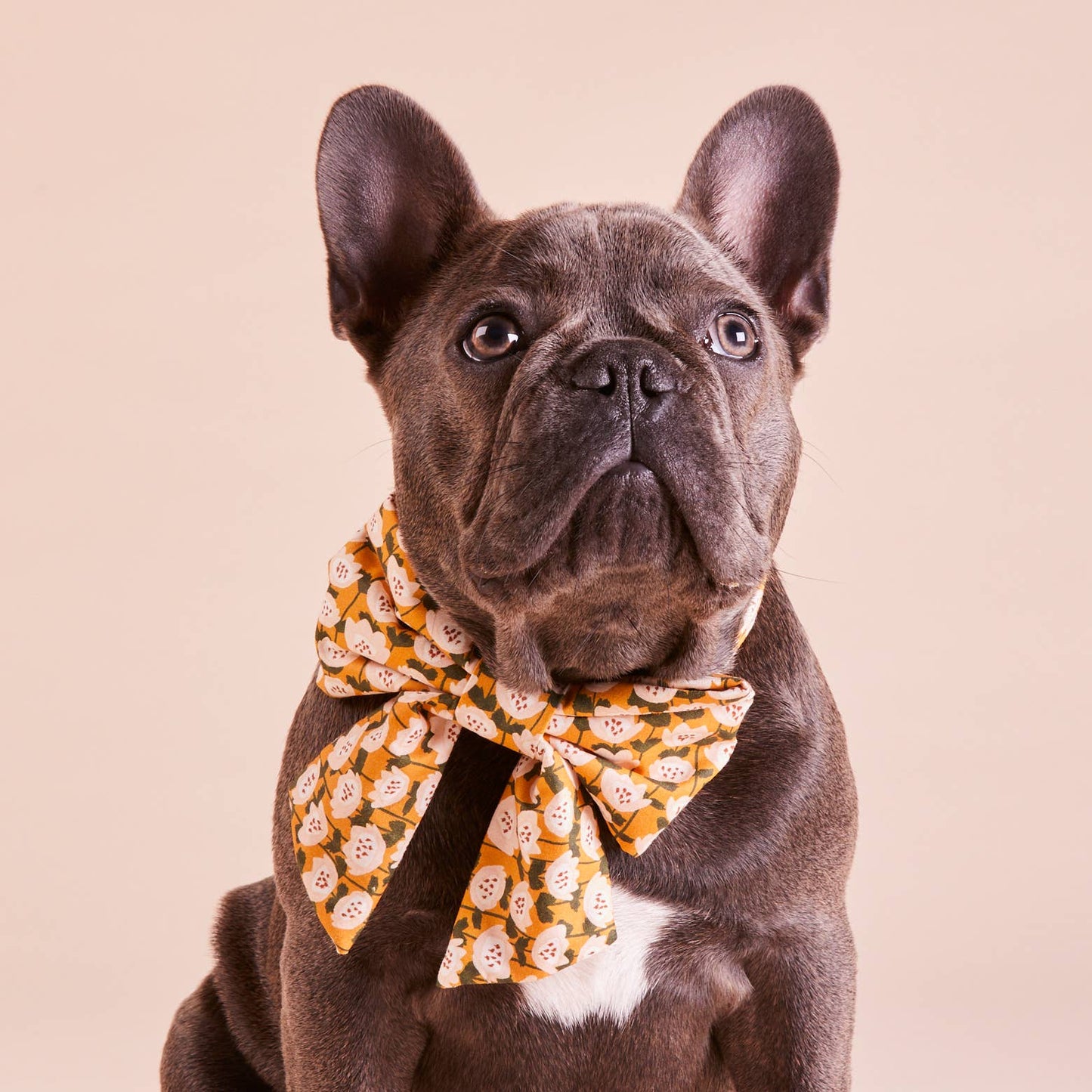 Lazo para perro con diseño de flores doradas de otoño