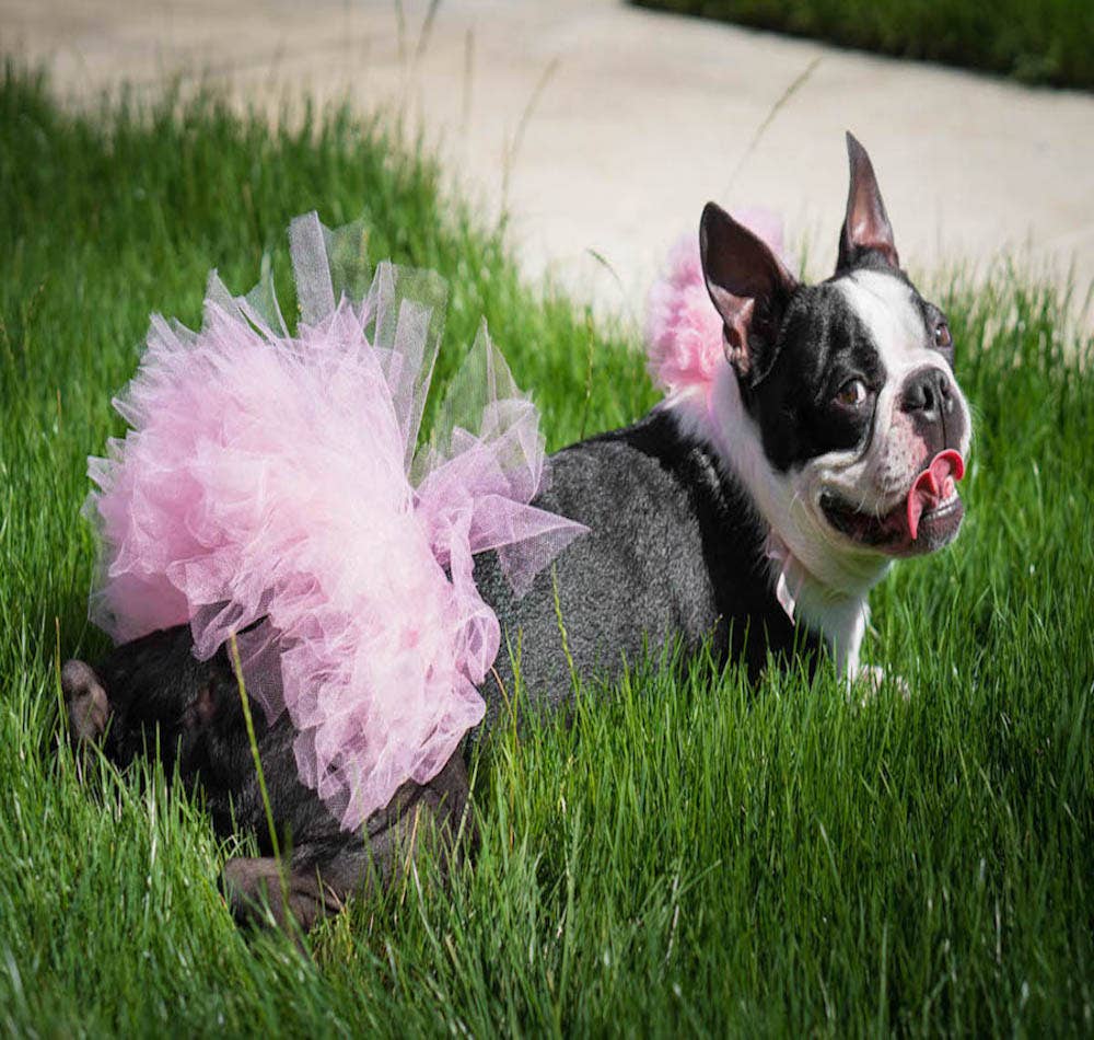 Pink Dog Tutu/Skirt
