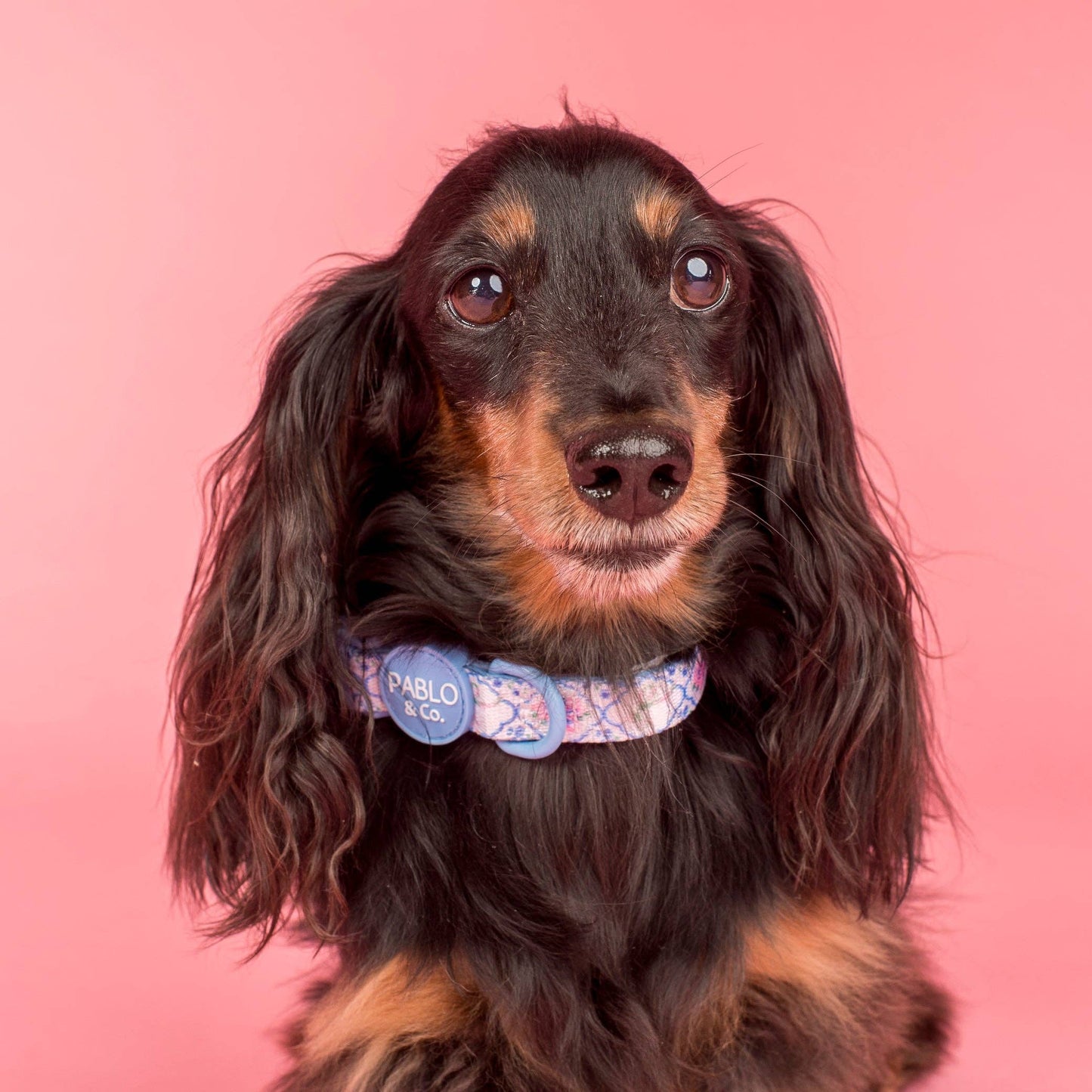 Petal Collar