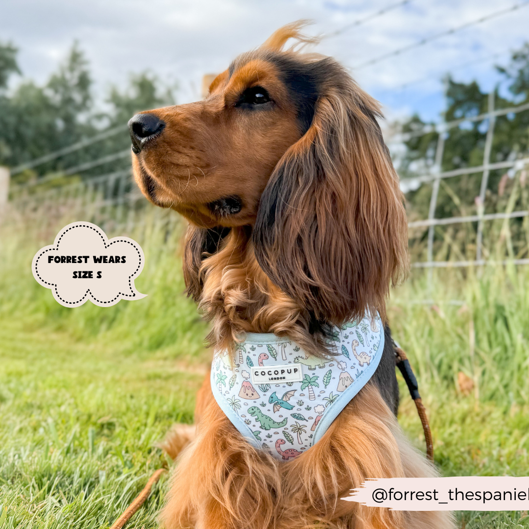 Dinopaws Adjustable Neck Dog Harness