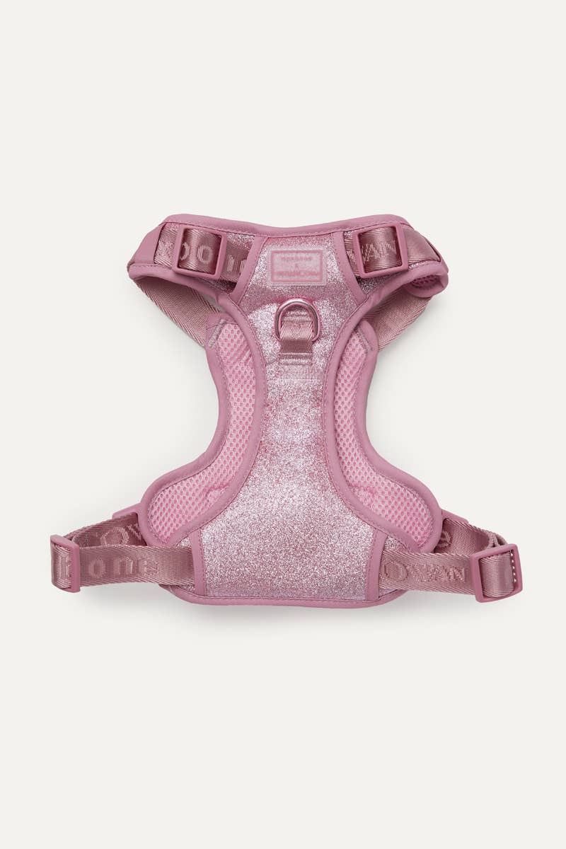 Christian Cowan x maxbone Glitz Walk Set for Dogs
