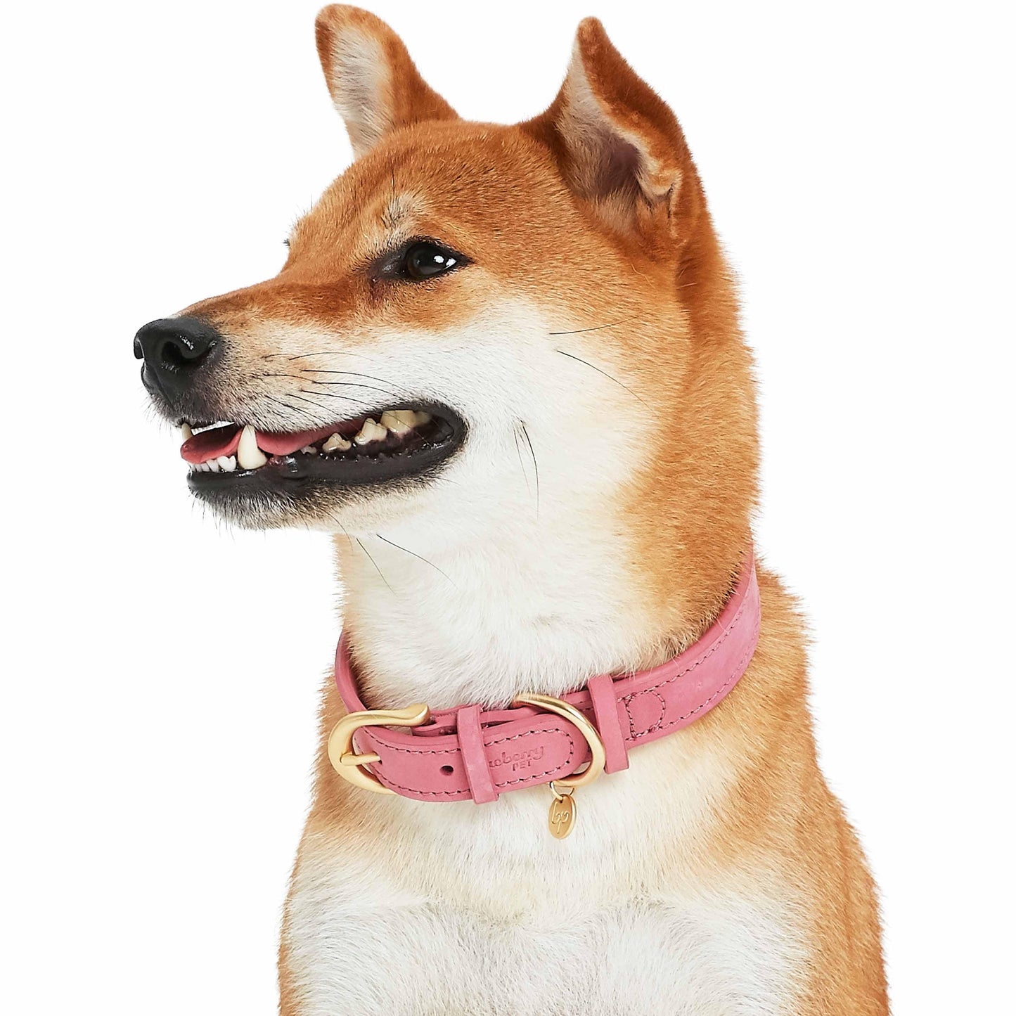 Full Grain Leather Dog Collar - Navy Blue