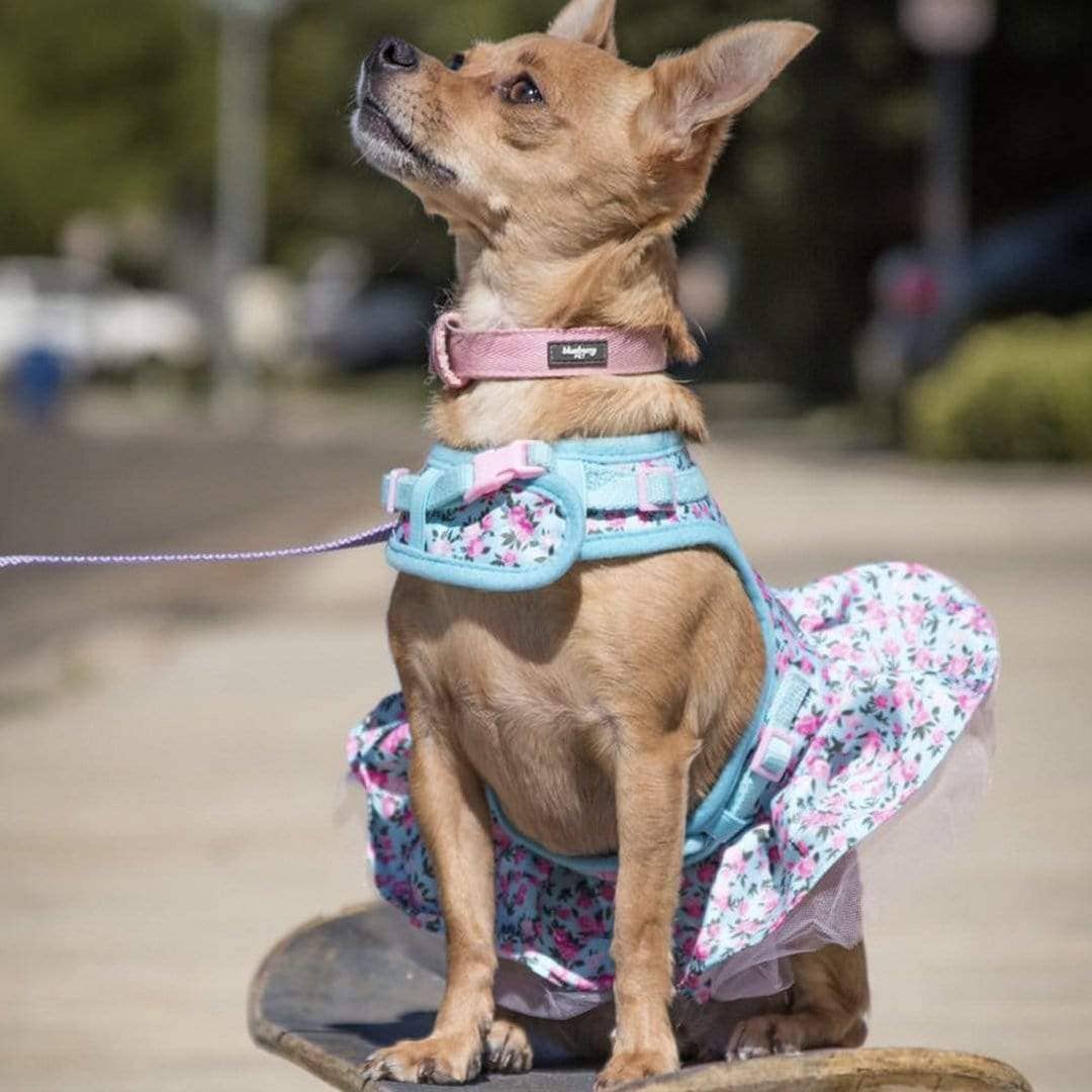 Floral Print Dog Harness Dress