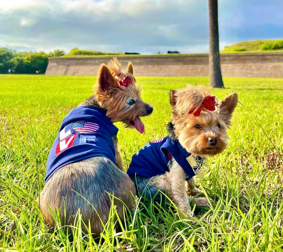Love USA Dog T-Shirt