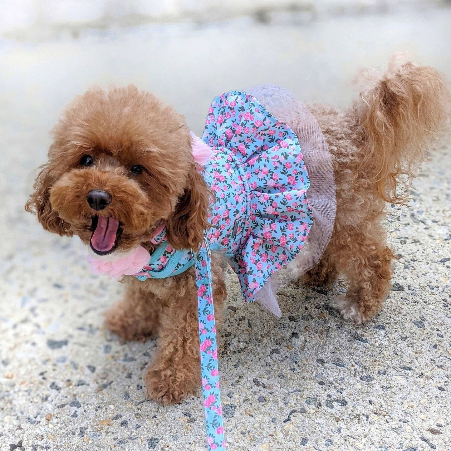 Floral Print Dog Harness Dress