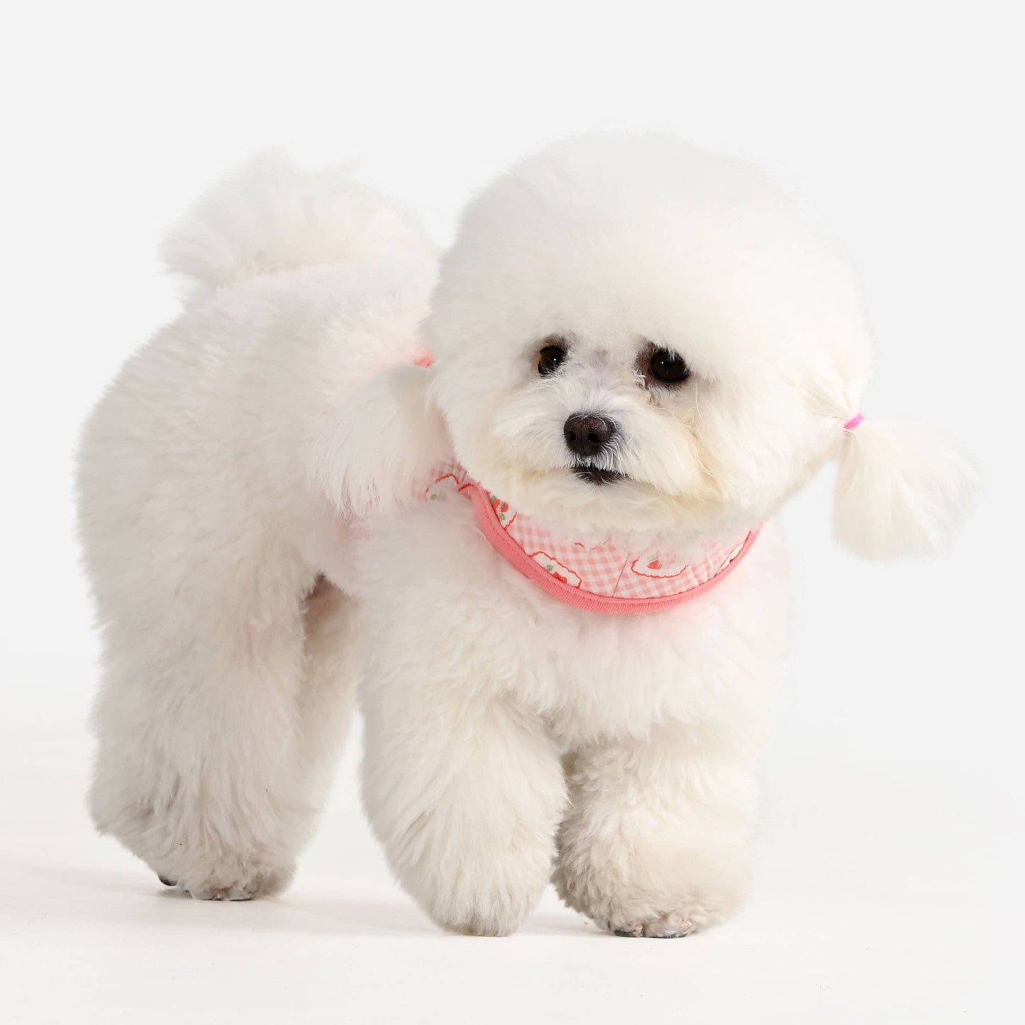 Trixie Jacket Dog Harness - Indian Pink