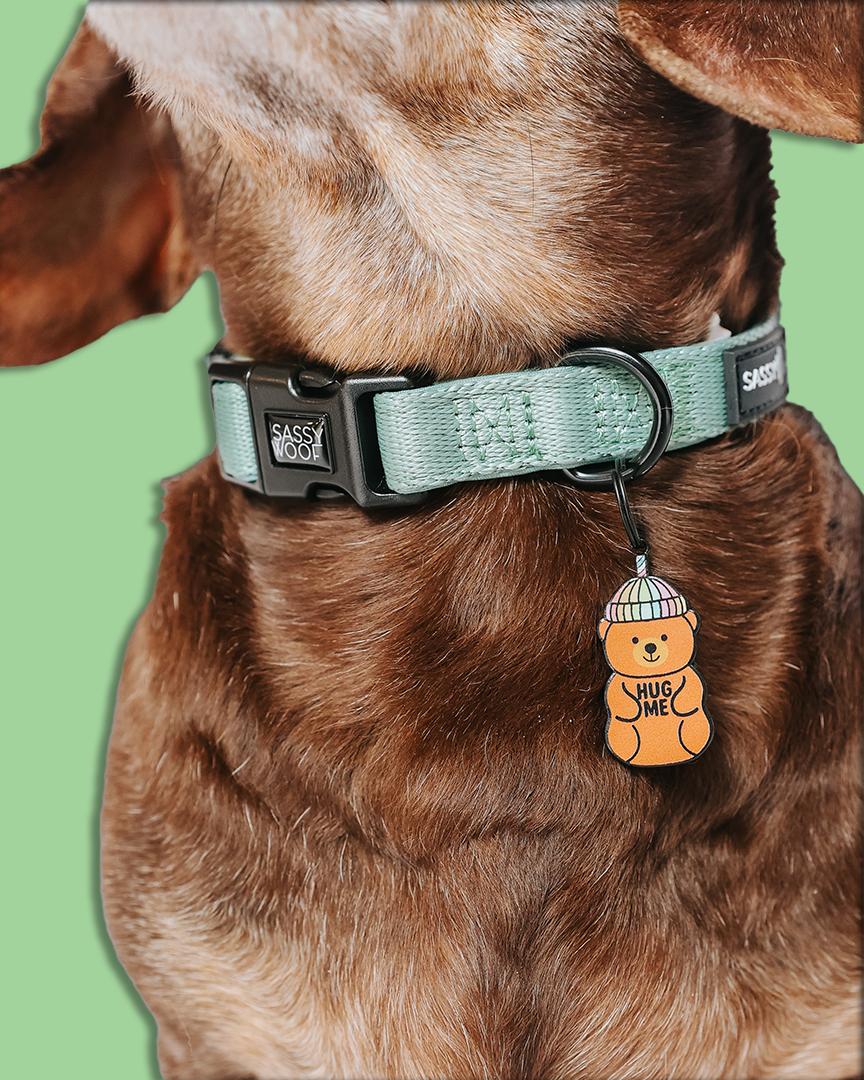 Dog Collar Tag - Hug Me Bear