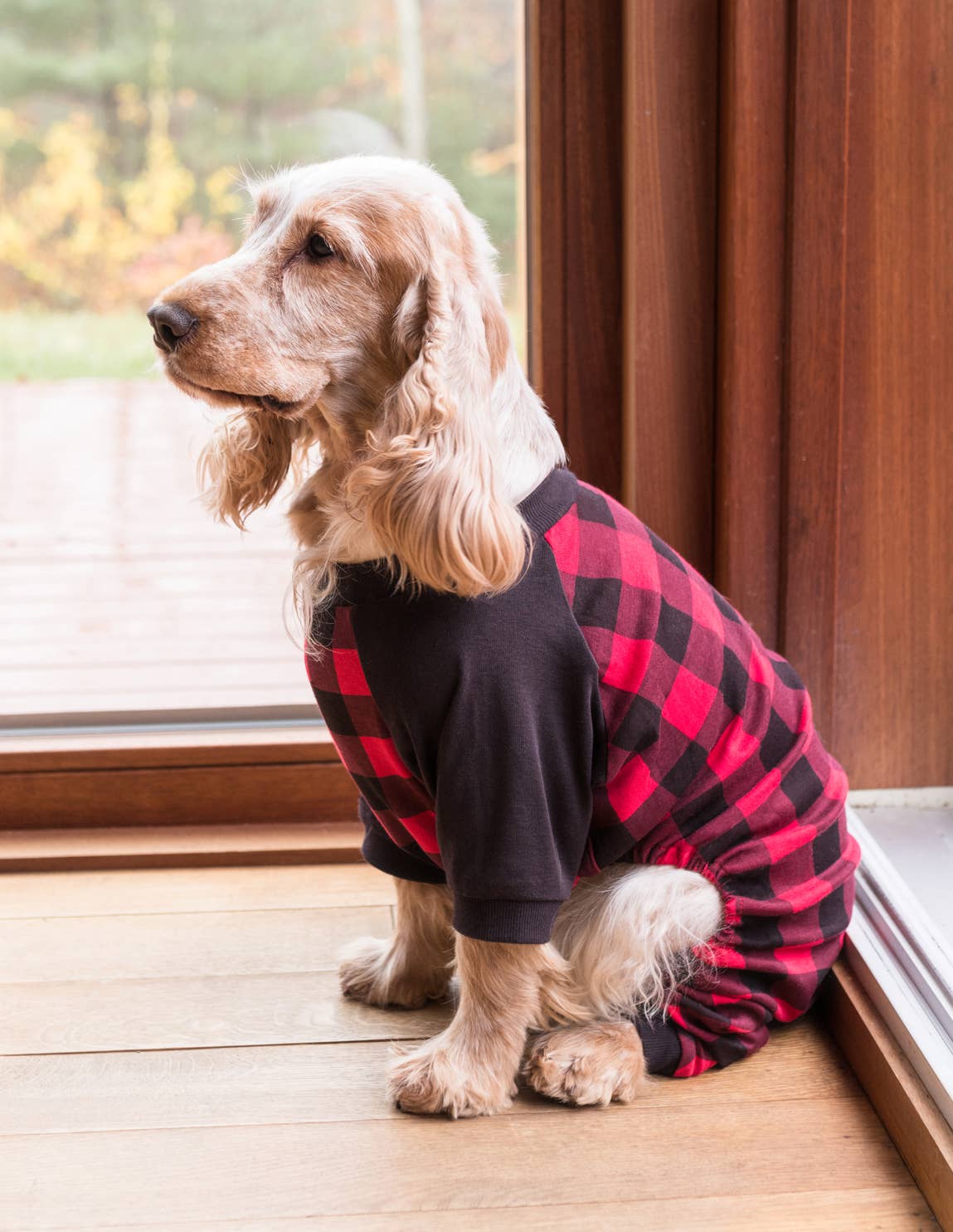 Dog Cotton Black & Red Plaid Pajamas