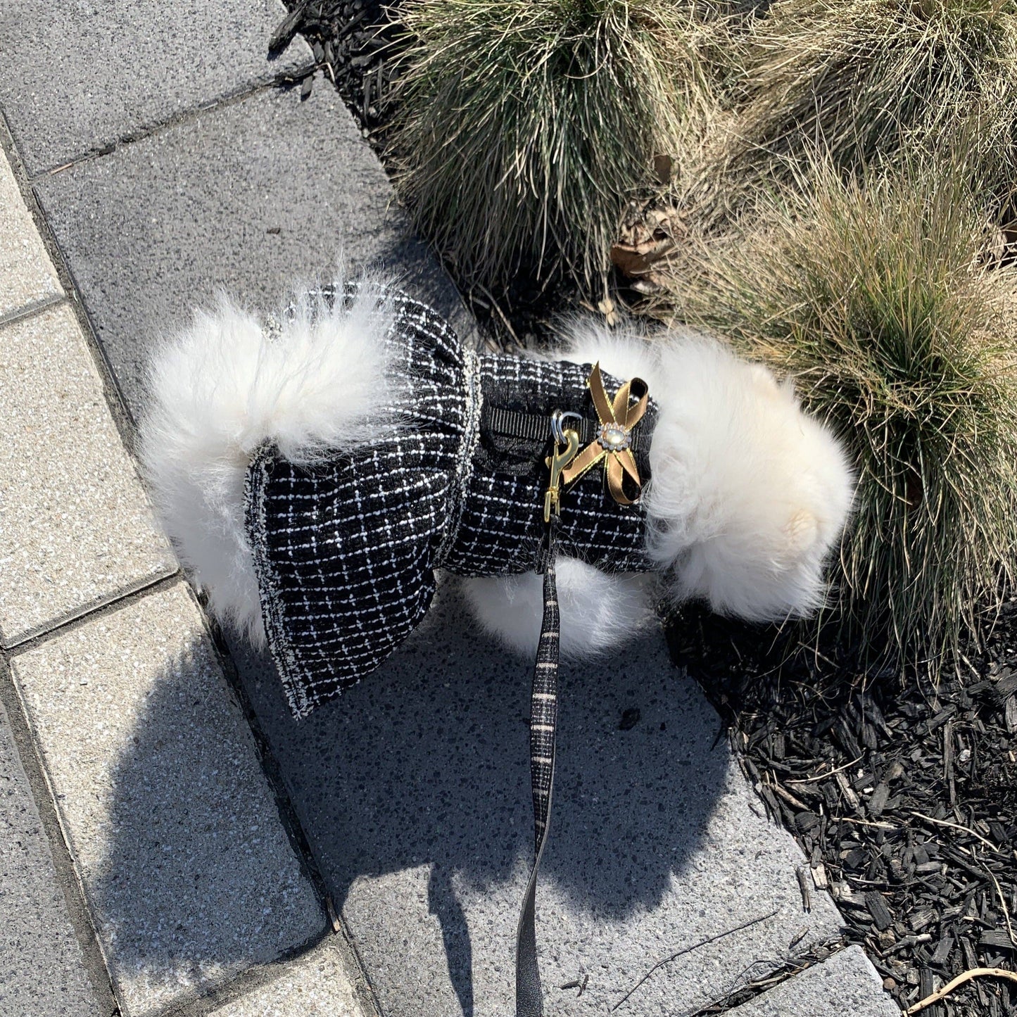 Fashion Tweed Dog Harness in Dress Style